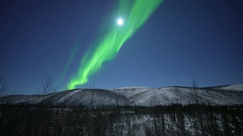 Auroras Dancing Under a Full Moon