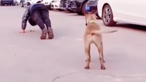 Funny Dog imitation