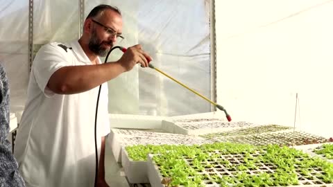 Egypt's rooftop farms help migrants make a living