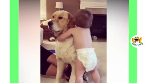 Adorable Babies Playing With Dogs and Cats