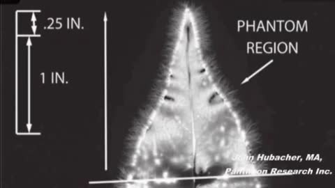 PHANTOM LEAF AURA: GHOST IN THE SHELL? YOUR SPIRIT IS REAL