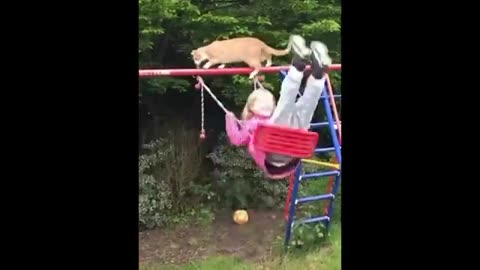 Funny dog kids video like and follow please