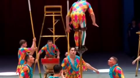 Funny circus video 😂