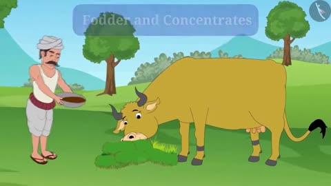 Animal Husbandry - Part 1-1 - English - Class 9