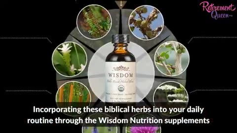 Biblical Herbs - Power of Herbs in the Bible : Unlocking their Health Benefits -Bible Herbs & Spices