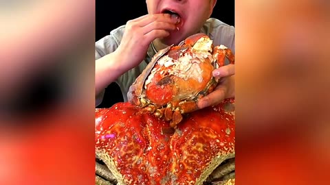 Seafood Mukbang | Korean | Satisfying Eating Seafoods