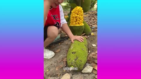 Farm Fresh Ninja Fruit | Tik Tok China | (Oddly Satisfying Fruit Ninja)