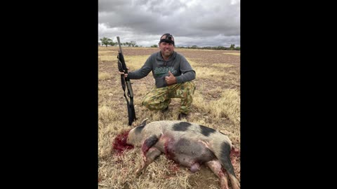 Central Queensland Hunting