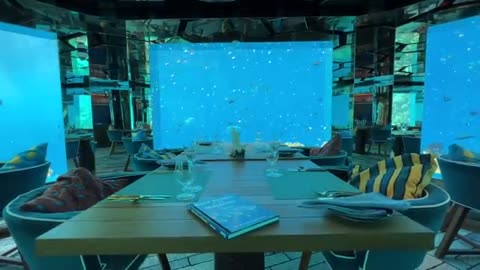 Aquatic world…underwater restaurant