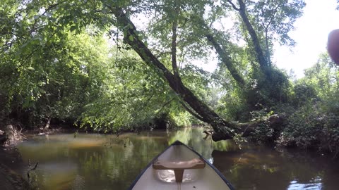 Canoeing up the South Tyger river