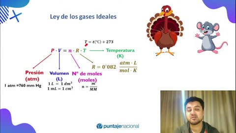 QUÍMICA 7° Básico / GASES Clase 11