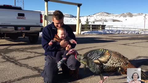 Funny Baby's Reactions When Meet Animals for The First Time || Just Laugh