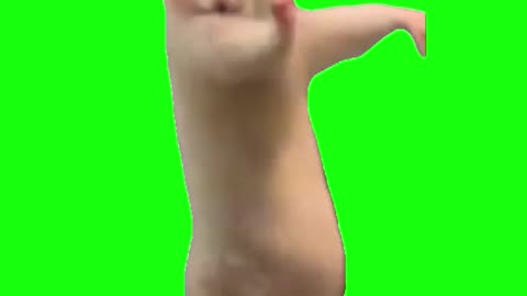 Chinese Hamster Dancing | Green Screen