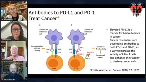 Dr. Seneff on turbocancer