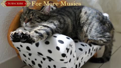 Sleepy Music for your Cat! (30 minutes)