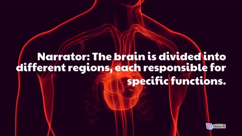 How many organs in human body with names