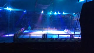 Robot Wars Maidstone 2015 Manta & Maelstrom Vs Saint & TR2