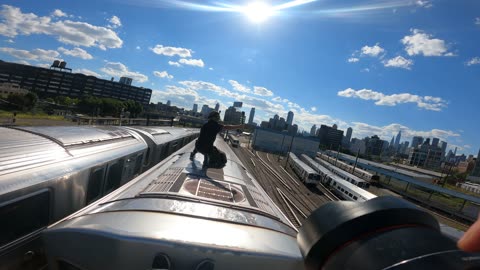 NYC Subway Surfer