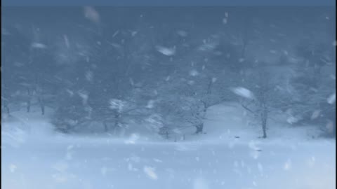 MUSIC RELAX - Snowstorm Sounds Wind in the Forest _ Blizzard Sounds for Sleep