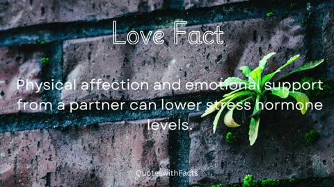 Love quotes and facts