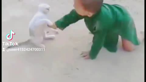 Baby play with cat