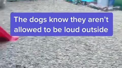 DON'T BE LOUD OUTSIDE