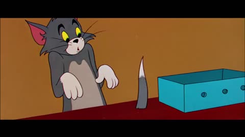 Tom and Jerry Compilation