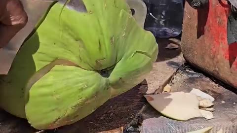 Fresh Coconut Water - Fruit Cutting Skills - Cambodian Street Food