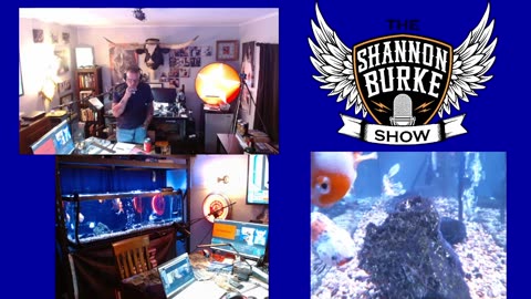 ShanCast with Brett Barney