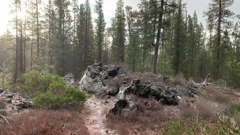 Entering the Volcanic Zone with Snow Flurries – Central Oregon – Edison Sno-Park – 4K