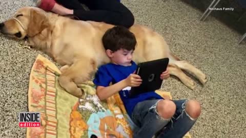 Mom Breaks Down In Tears When Son with Autism Meets Service Dog