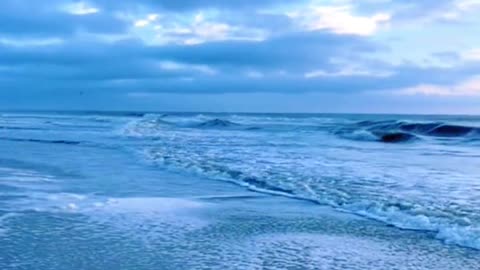 Charming sea, feeding seagulls, beautiful picture