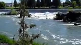 idaho falls first time