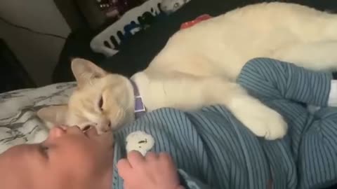 Me sleep with my pussy cat - Cat Funny video - New Kids Video