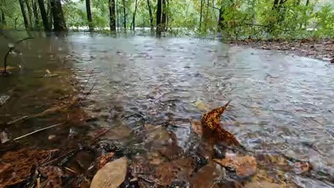 Relaxing sounds of rainfall | raindrops sounds | natural phenomena