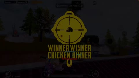 14 kills Livik squad win