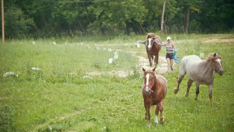 Young woman running on the summer field with horses