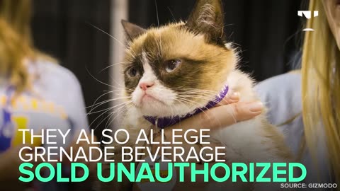 Grumpy Cat's Parents Sue Coffee Shop