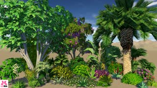 Tropical Landscape Theme