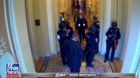 Jan 6th “insurrection” was actually just a photo op facilitated by Capitol Police and FBI