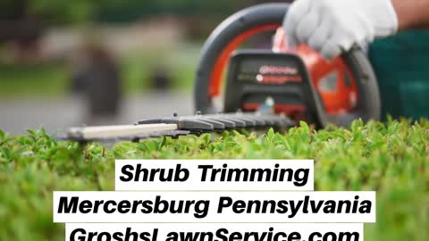 Shrub Trimming Mercersburg Pennsylvania Landscape The Best