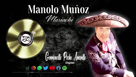 Gorrioncillo pecho amarillo-Manolo Muñóz