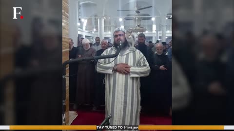 A Cat Joins A Ramadan Prayer As Muslims Celebrate The Holy Month |