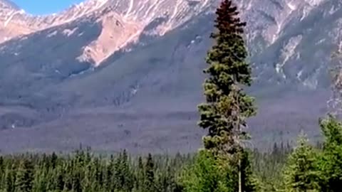 Jasper National Park, Canada