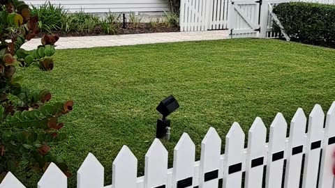 Oldest house in Naples, Florida dating back to 1895