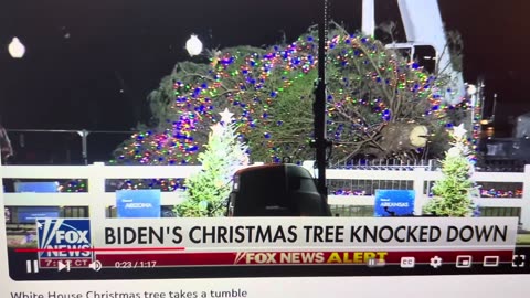 ***WHITE HOUSE CHRISTMAS TREE FALLS***