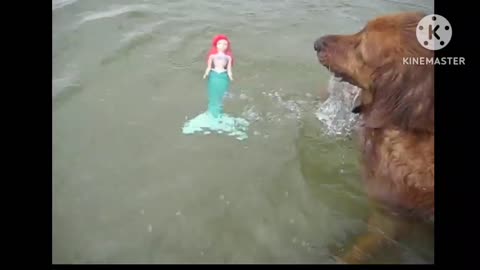 GO FETCH the little girl and dog #video