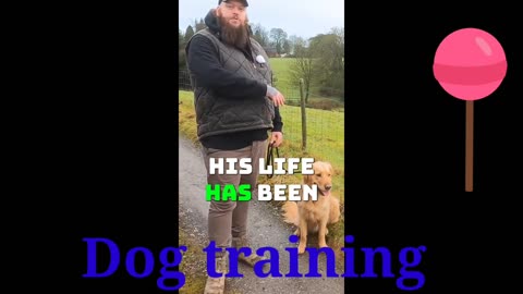 Very Funny dog training in vedio momanta