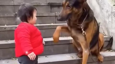 The Cutest Babysitter Ever! 🐶👶💞#cutebaby #dog Kids video