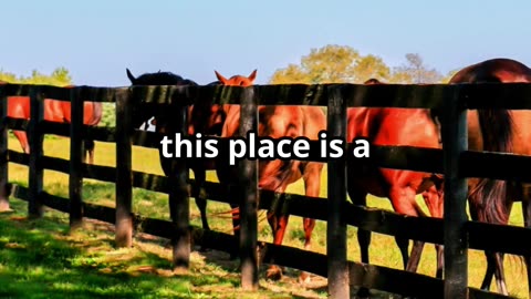 Horse Capital of the World!